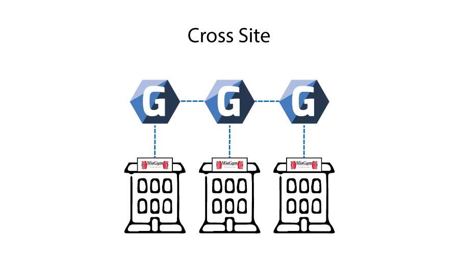 cross site setup for gym enterprise software